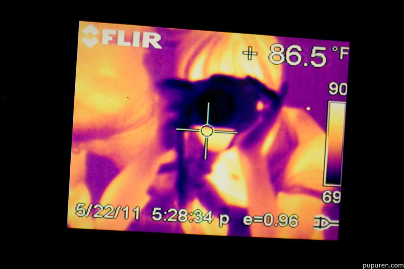 Thermal sensor selfie at Griffith Observatory, Los Angeles.
