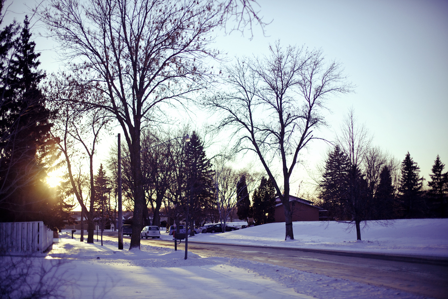 Winter scene in Minnesota.
