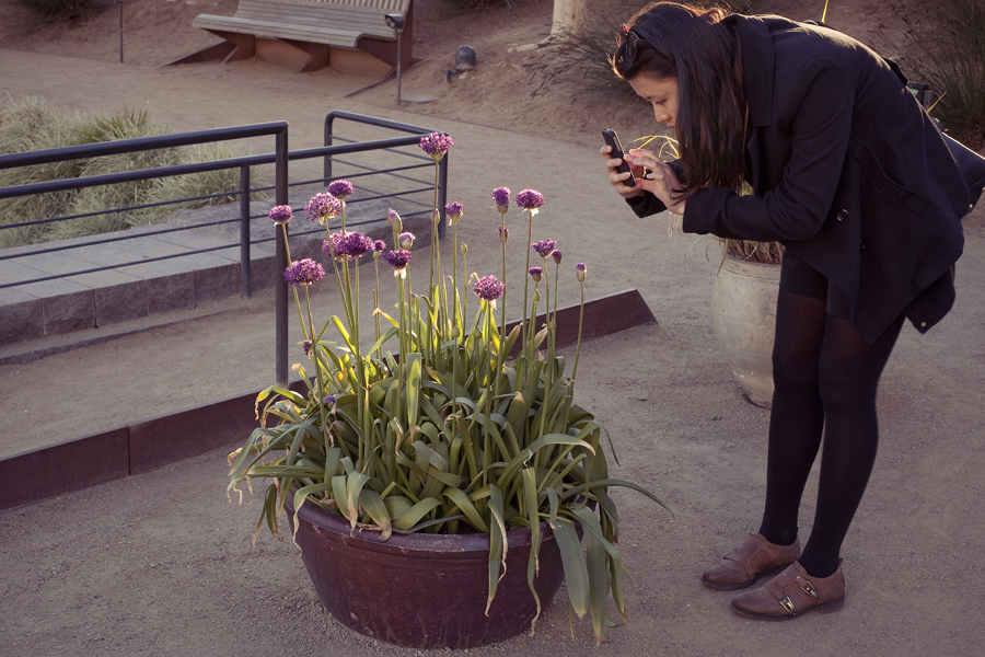 Deb taking a photo of a potted plant at the Getty Center, Los Angeles.