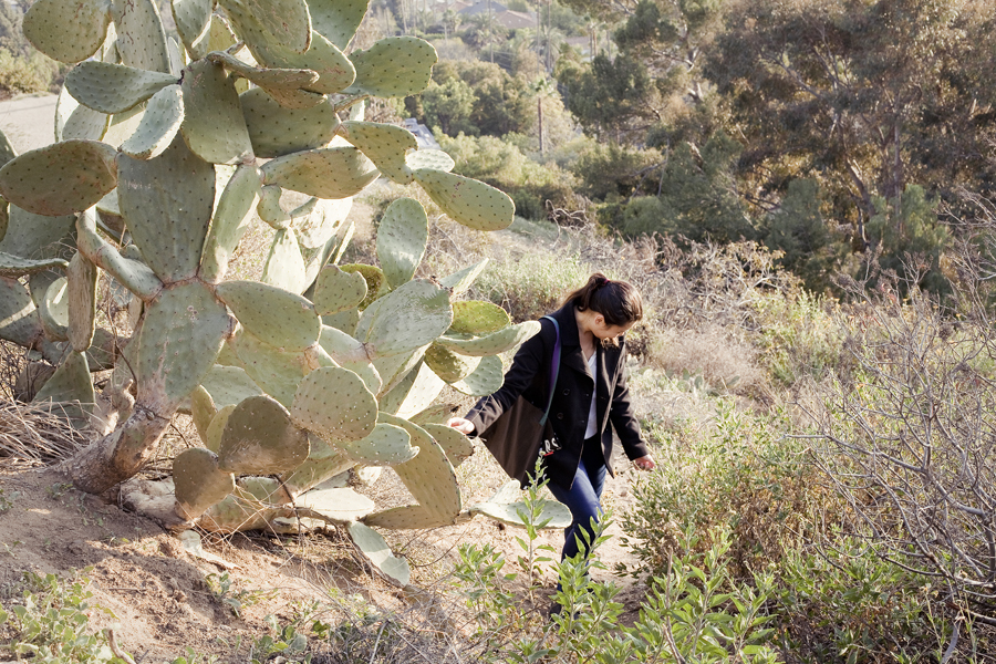 Cacti and Deb up a difficult trail at Runyon Canyon Park in Hollywood, Los Angeles.