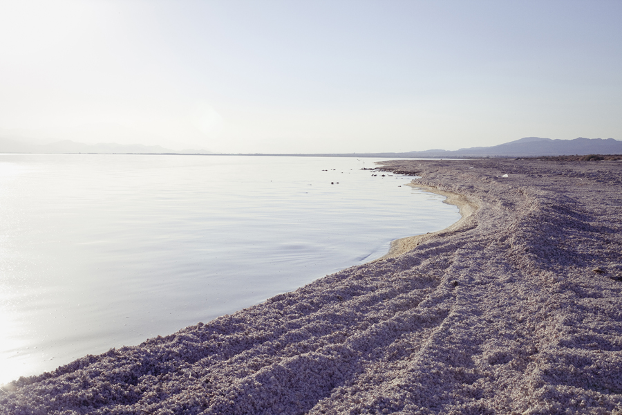 The Salton Sea.