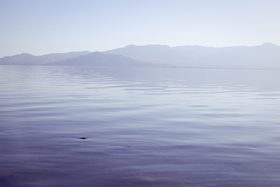 Calm waters at the Salton Sea.