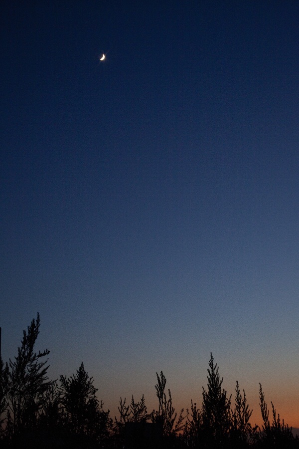 Night sky in the desert.