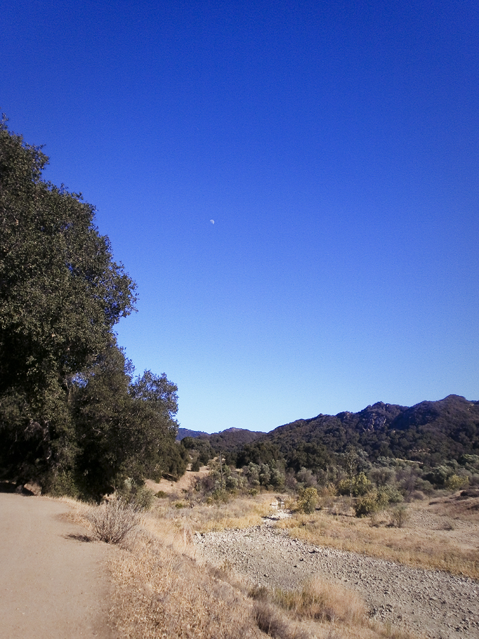 View of the mountains on the hike at Malibu Creek.