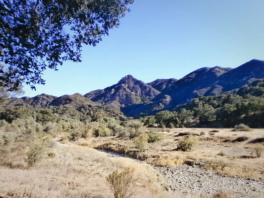 View of the mountains on the hike at Malibu Creek.
