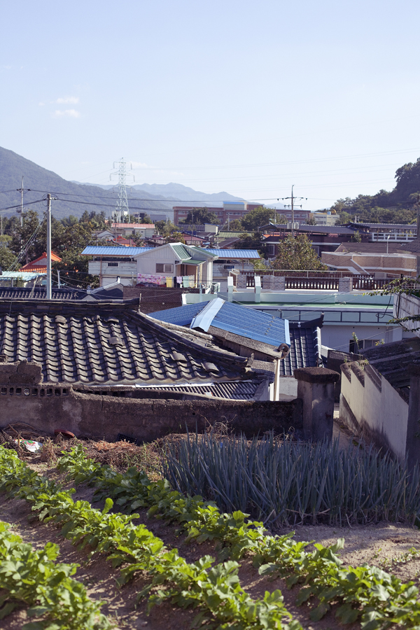 View from garden behind historical building in Sangju, South Korea.