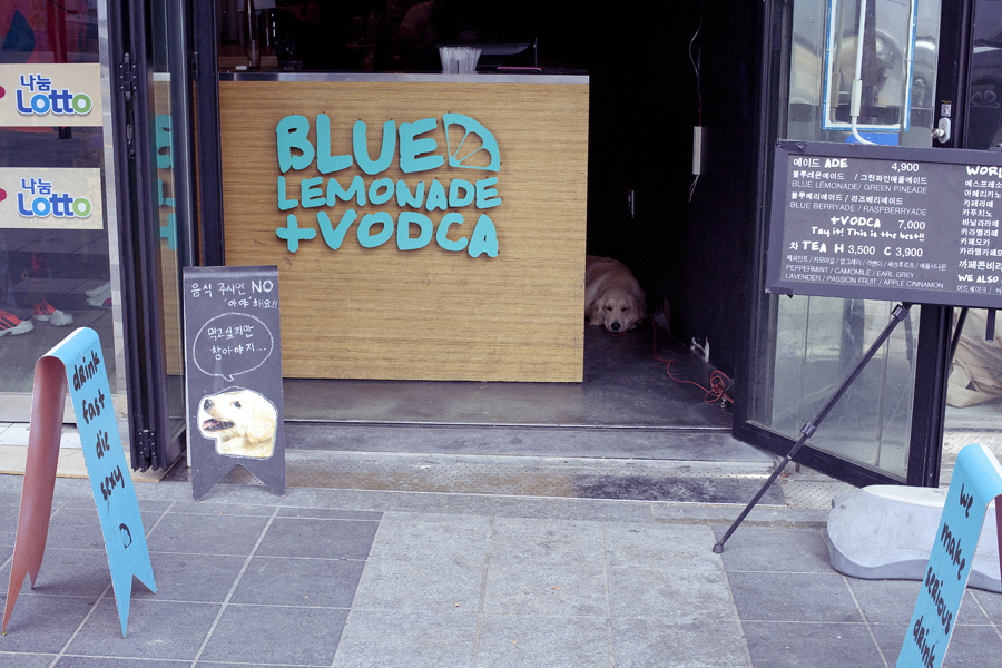 Blue Lemonade + Vodka in Busan, South Korea.