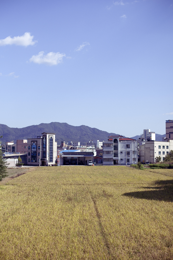 Field among buildings at Sangju, South Korea.