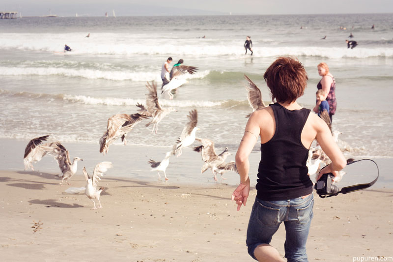 CY scaring seagulls at Venice beach, Los Angeles.