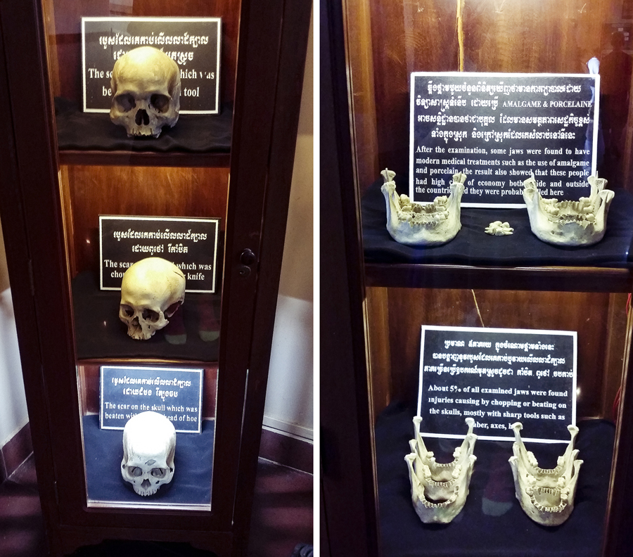 Exhibit of skulls of victims at the Choeung Ek Killing Fields Museum in Phnom Penh, Cambodia.