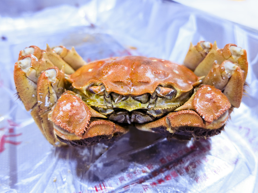 Boiled crab in Shanghai.
