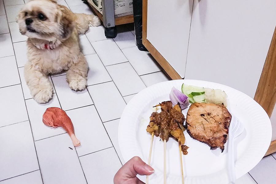 Barbeque food: satay with puppy and chew toy.