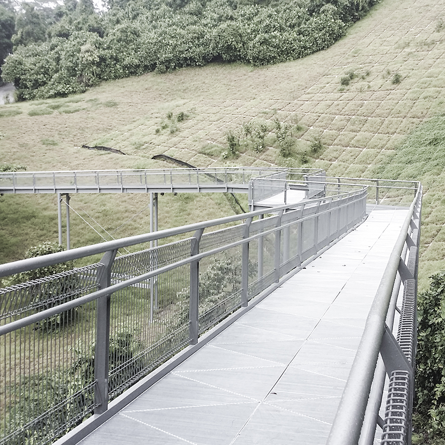 Forest Walk: Steel bridge along the Southern Ridges Trail in Singapore.