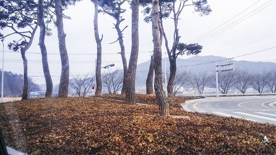 Scenic view driving up a mountain in Sangju, South Korea.