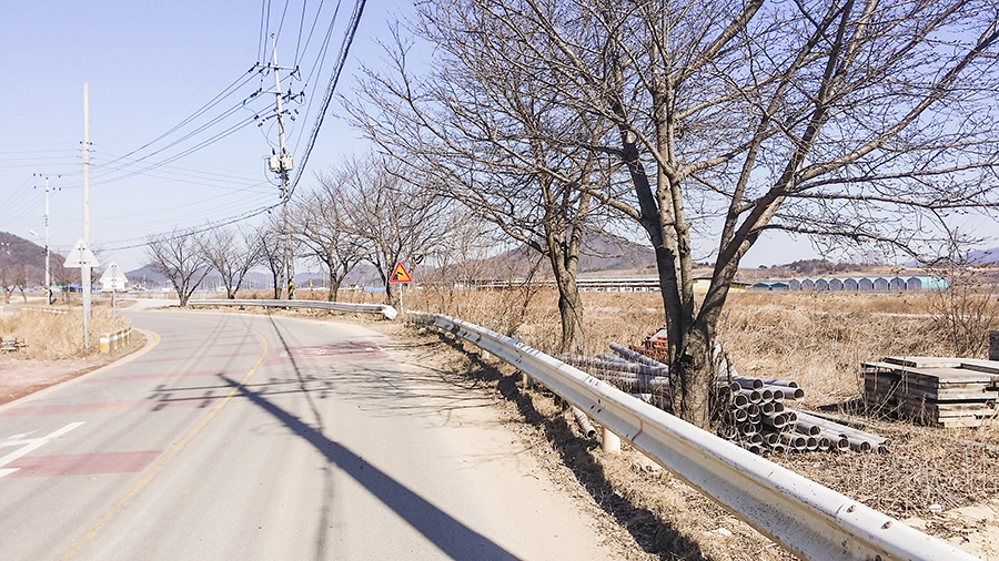 Scenic view along the road by the river in Sangju, South Korea.