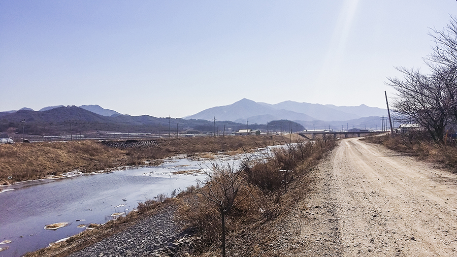 Scenic view along the road by the river in Sangju, South Korea.