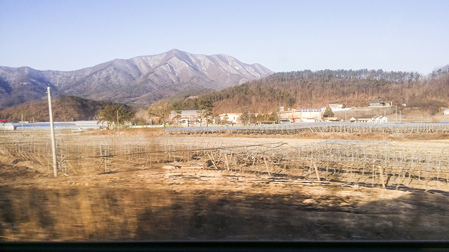 View of mountain against the backdrop of farms in Sangju, South Korea.