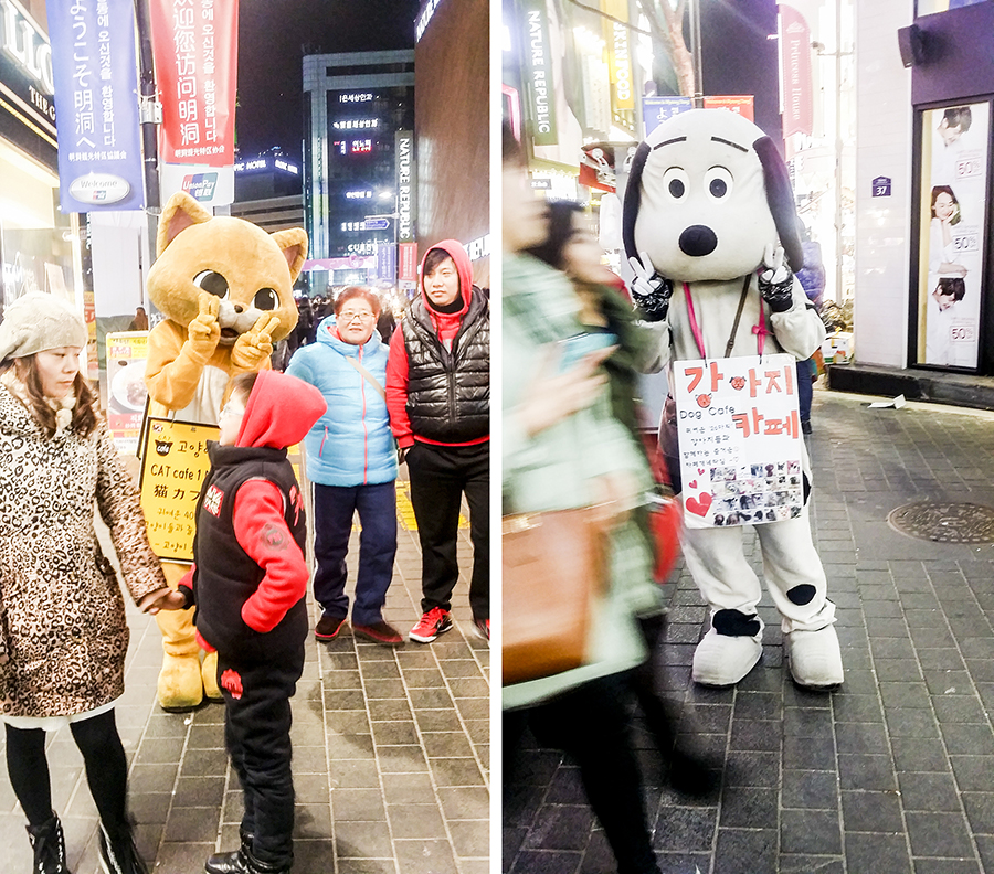 Cat and dog mascots on the streets of Myeongdong advertising for a Cat & Dog Cafe in Seoul, South Korea.