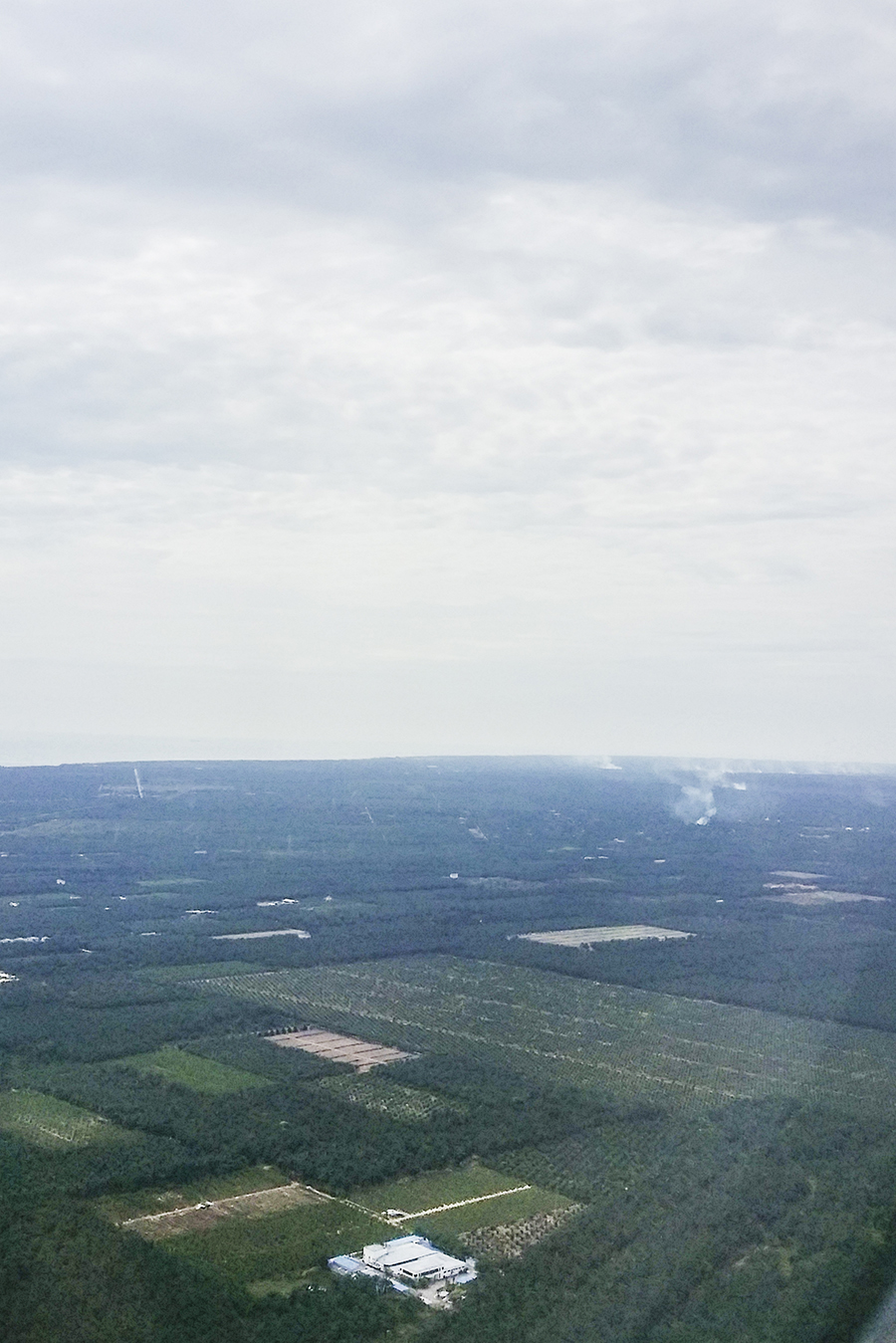 Smoky spot among greens from the plane.