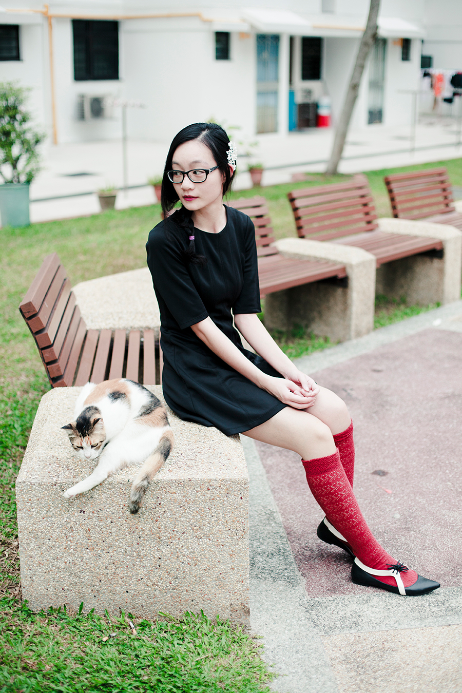 Me and Lazy Cat in my ootd: Forever 21 dress, Irresistible Me Hera Hair Comb, Urban Outfitters red lace knee socks, Something Borrowed cutout oxford flats.