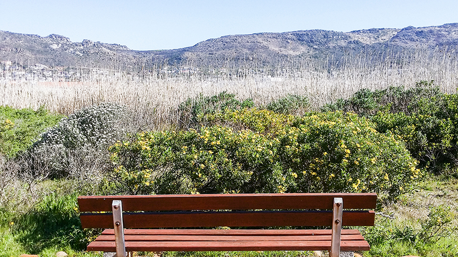 Wooden bench overlooking a scenic landscape at the Silvermine Wetland Conservation Area, Fish Hoek, Cape Town, South Africa.