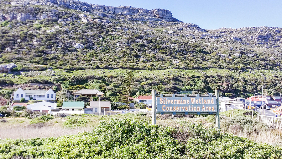Silvermine Wetland Conservation Area, Fish Hoek, Cape Town, South Africa.