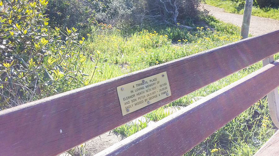 Bench with a memorial at the Silvermine Wetland Conservation Area, Fish Hoek, Cape Town, South Africa.