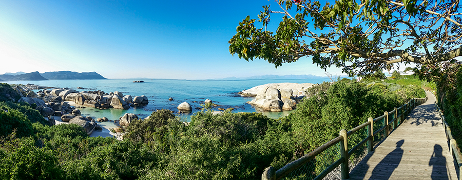 Panoramic view of Boulders Beach, Table Mountain National Park, Cape Town, South Africa.