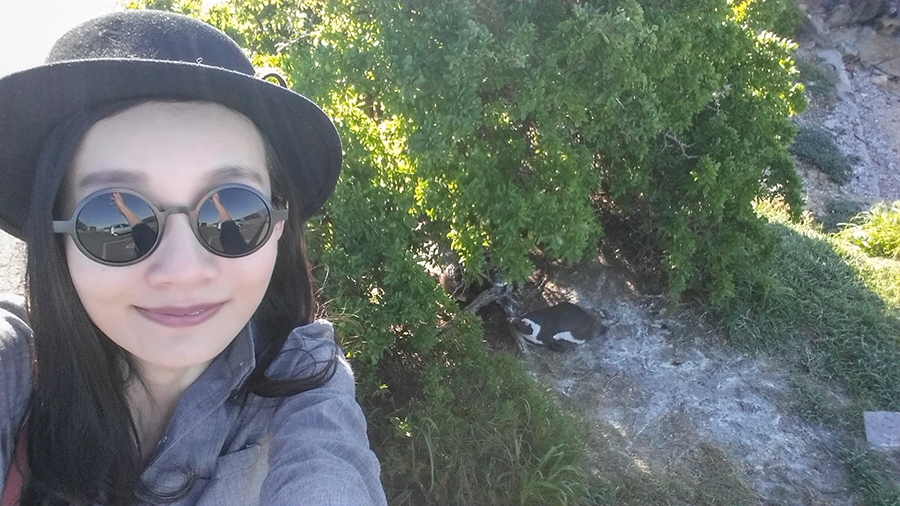 Selfie with some resting African Penguins at Boulders Beach, Table Mountain National Park, Cape Town, South Africa.