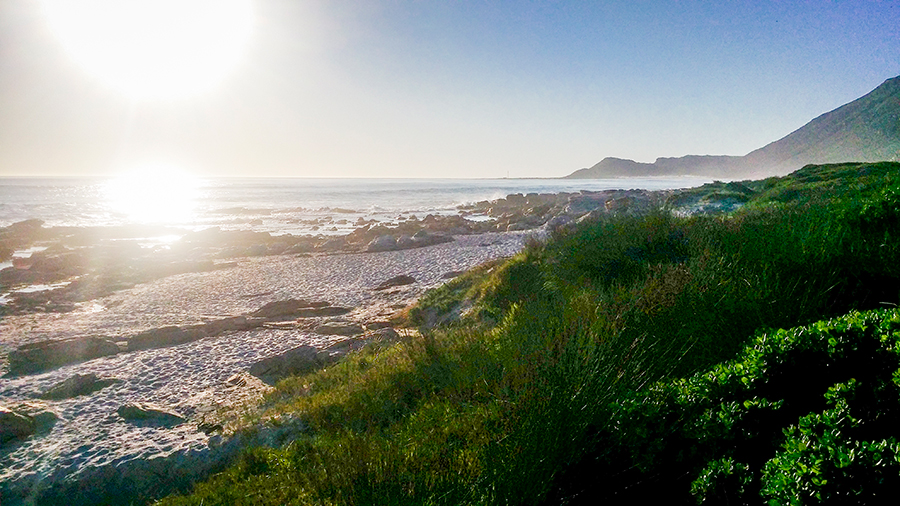Rocky Shores, Hout Bay, Cape Town, South Africa.