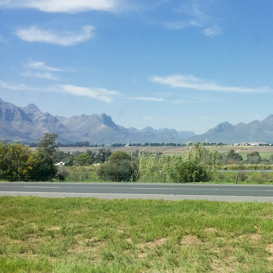 On the road to Fairview Wine and Cheese, South Africa.