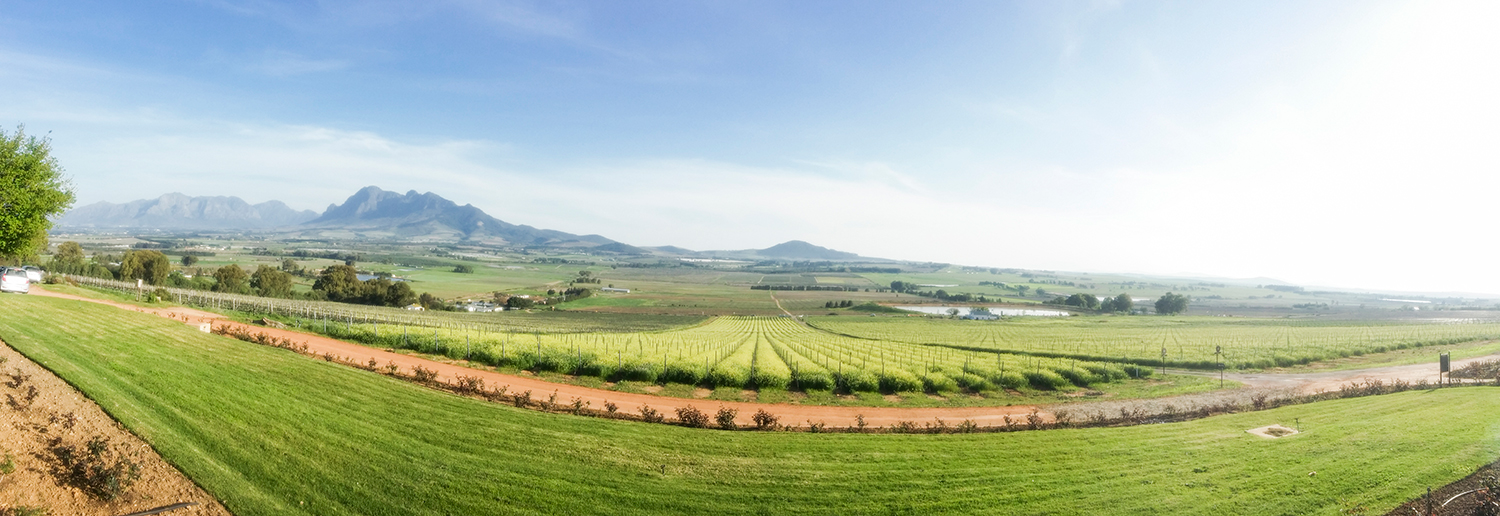 Panoramic view of Fairview Wine and Cheese, South Africa.
