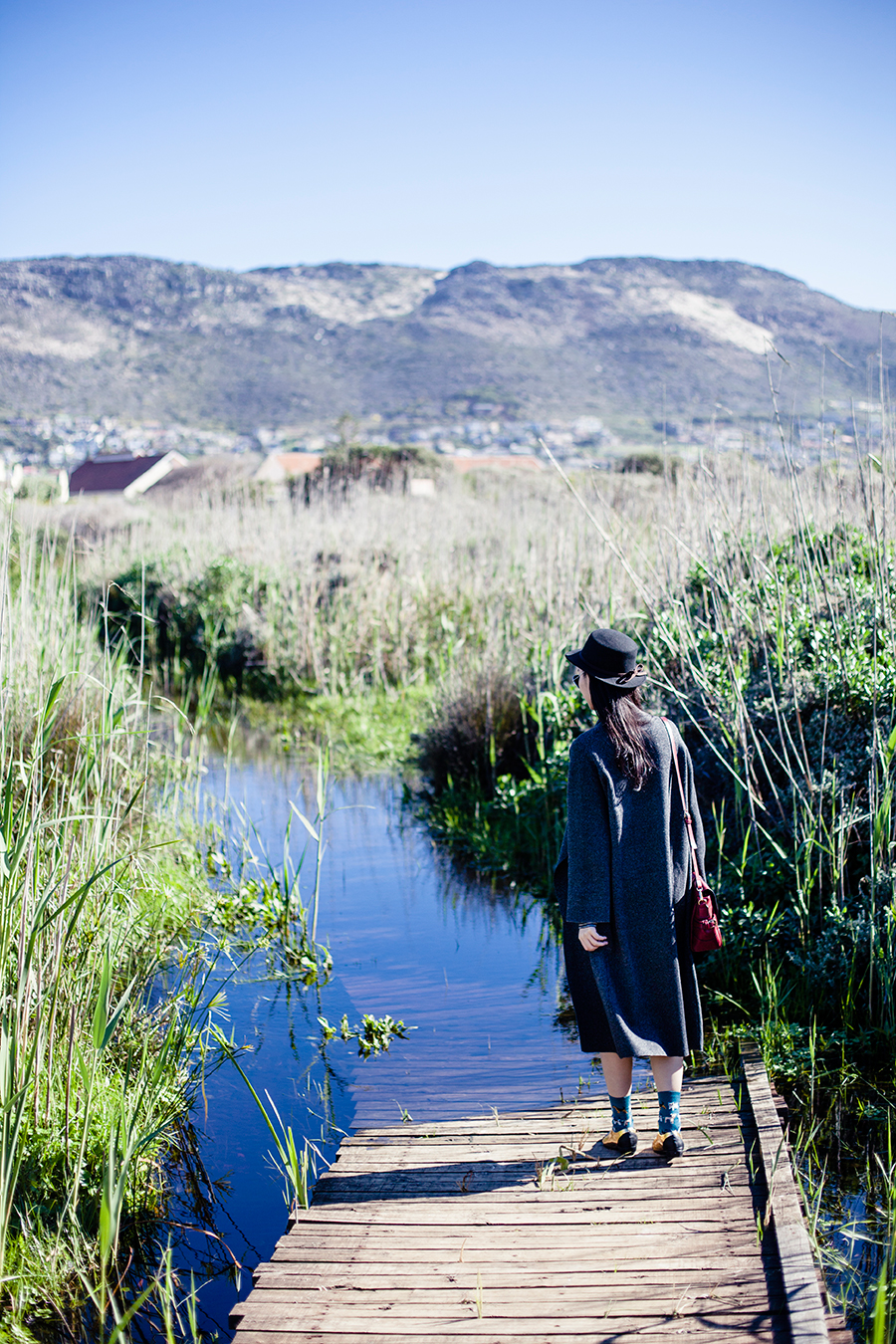 Walking on a partially-submerged boardwalk at the Silvermine Wetland Conservation Area, Fish Hoek, Cape Town, South Africa.