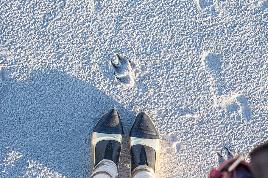Shoefie with my Something Borrowed black & gold pointed flats on the sandy beach at Rocky Shores, Hout Bay, Cape Town, South Africa.