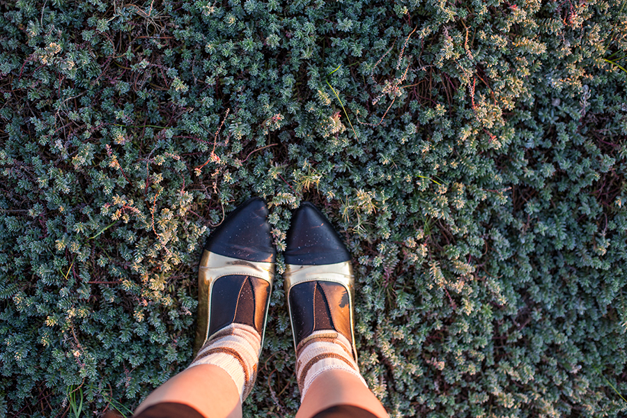 Shoefie with my Something Borrowed black & gold pointed flats on the grass at Rocky Shores, Hout Bay, Cape Town, South Africa.