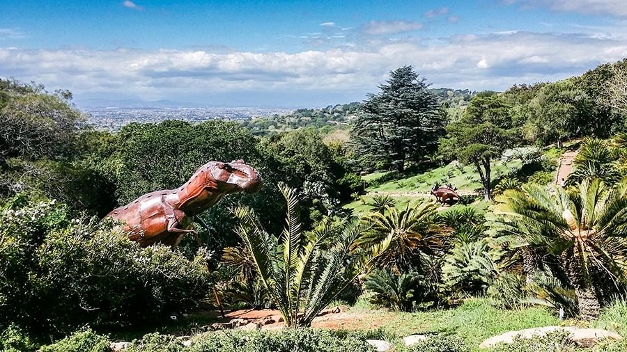 Dinosaurs and cycads at Kirstenbosch, South Africa.