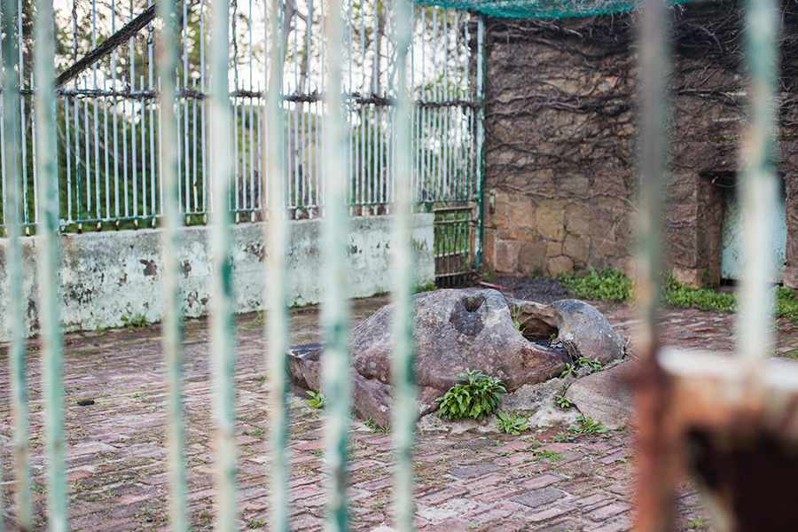 Abandoned animal cage at Groote Schuur Estate, Table Mountain National Park, Cape Town, South Africa.
