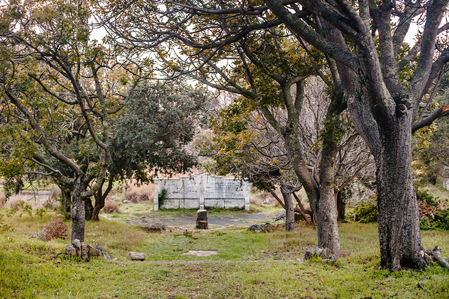 Grove and tablet with graffiti at abandoned zoo at Groote Schuur Estate, Table Mountain National Park, Cape Town, South Africa.