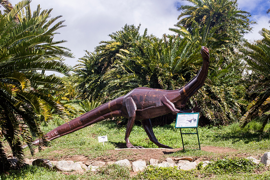 Dinosaurs and cycads at Kirstenbosch, South Africa.