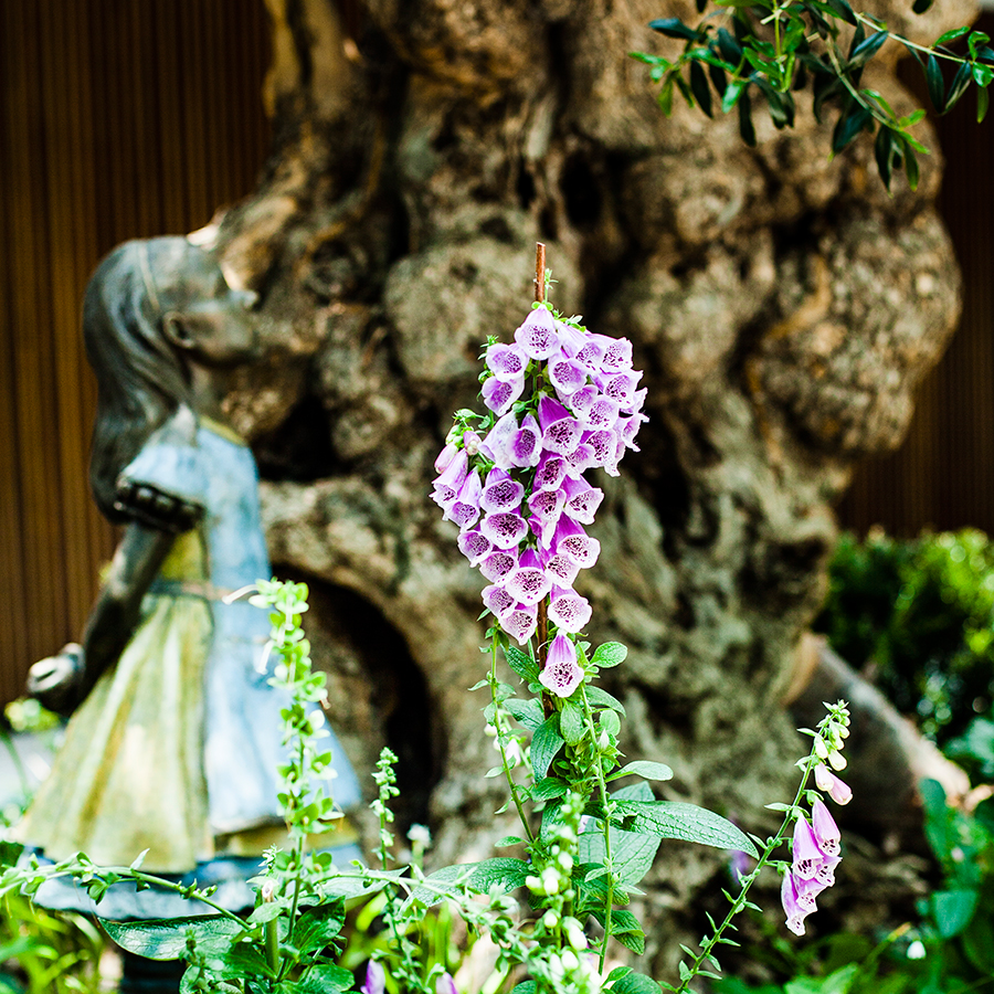 Statue and flowers at an olive tree at the Flower Dome at Gardens by the Bay, Singapore.