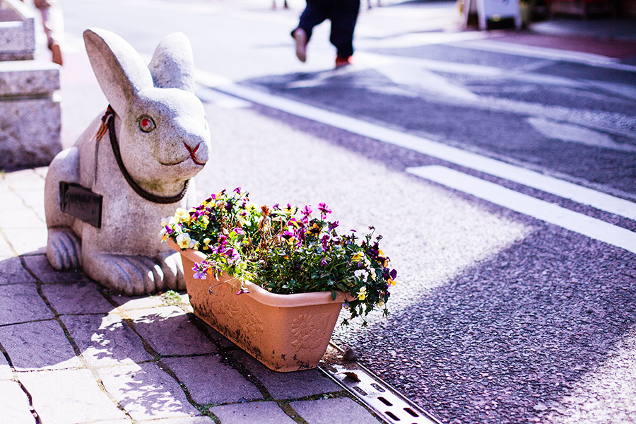 Rabbit zodiac animal at Omotesando at Narita, Chiba, Japan