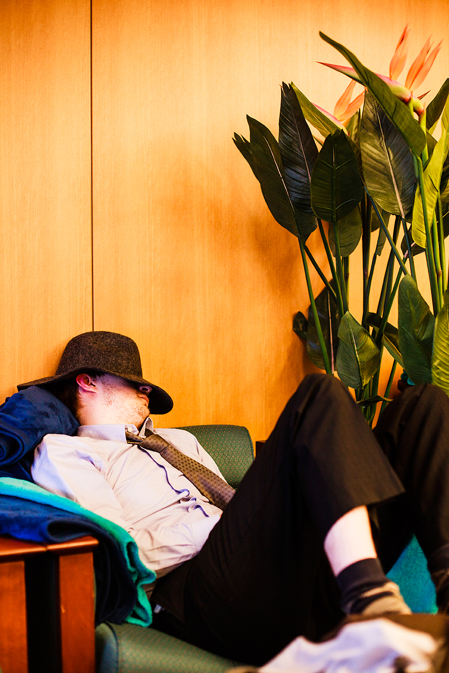 Ottie catching up on sleep at Rassurant traveler's lounge in Narita International Airport, Japan