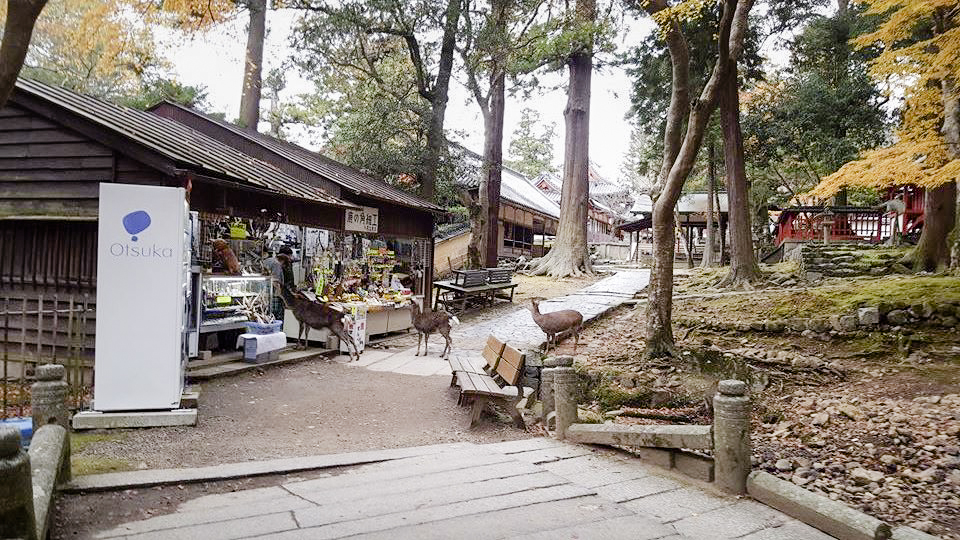 Otsuka shop at Nara Park, Japan. Photo by Shasha.