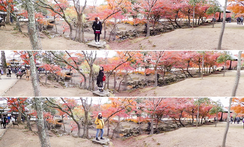 Ruru, Ren, and Shasha at Nara Park, Japan. Photo by Shasha.