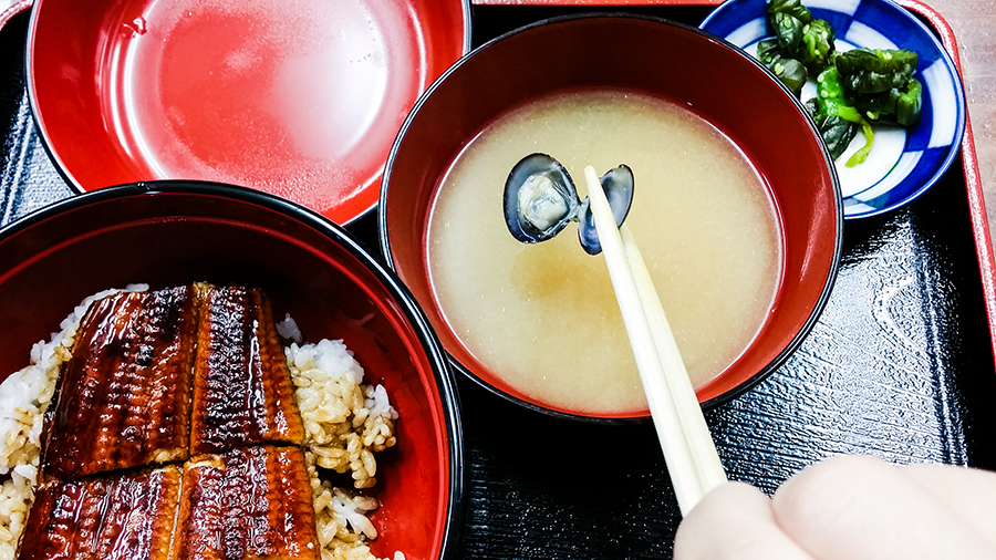 One of four shellfish in our miso soup with our Unagi don in Takagi Suisan eel restaurant at Osaka, Japan.