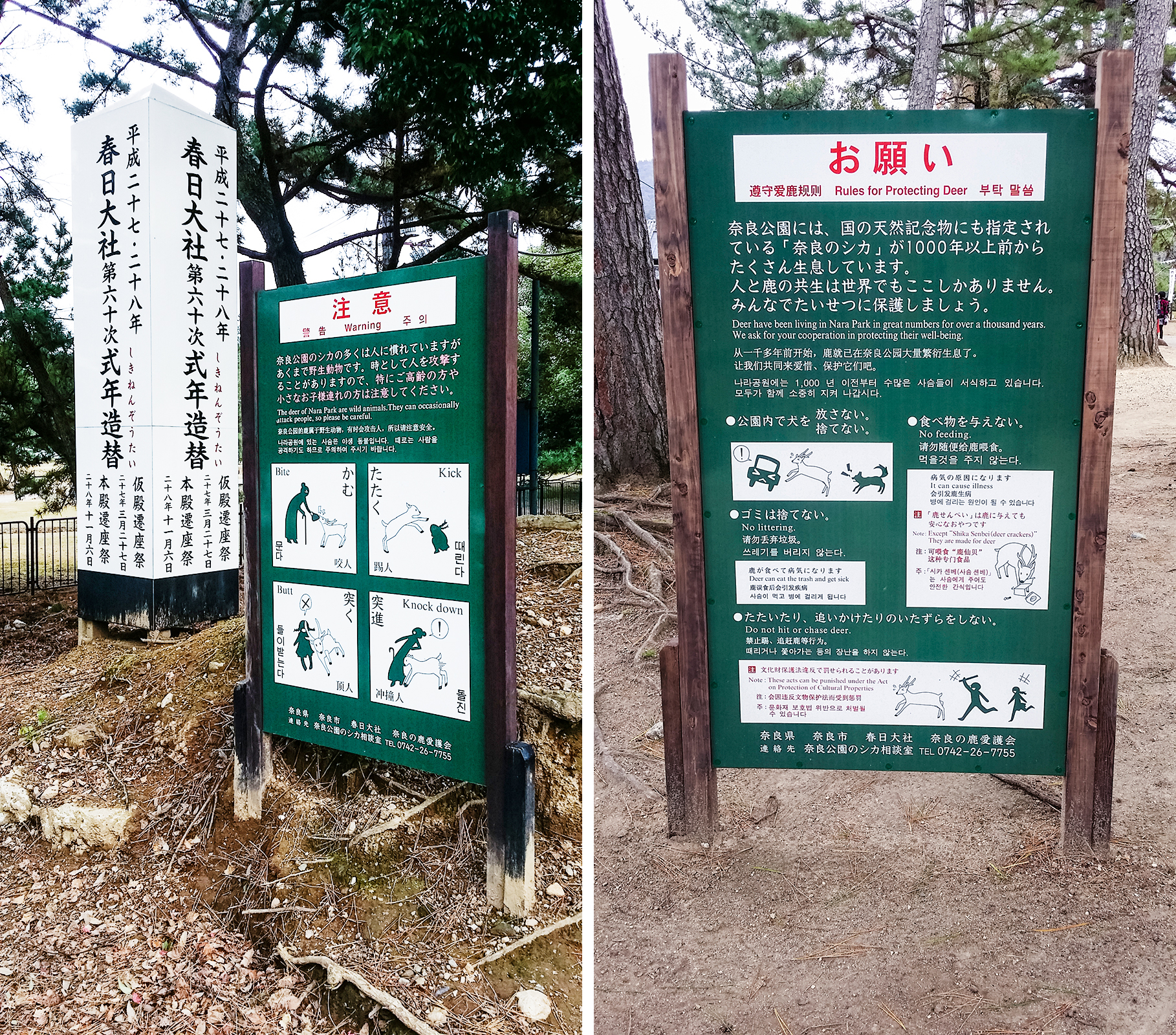 Signs at Nara Park warning of the dangers of getting too close to the deer in the park.