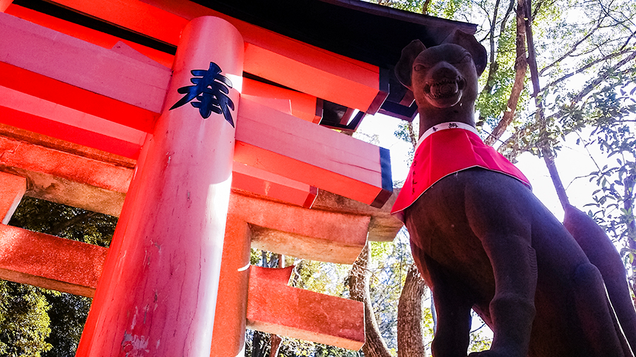 Dog statue at Fushimi Inari, Kyoto Japan.