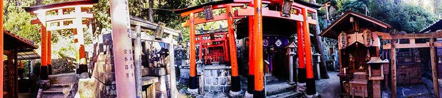 Torii and shrines at Fushimi Inari, Kyoto Japan.