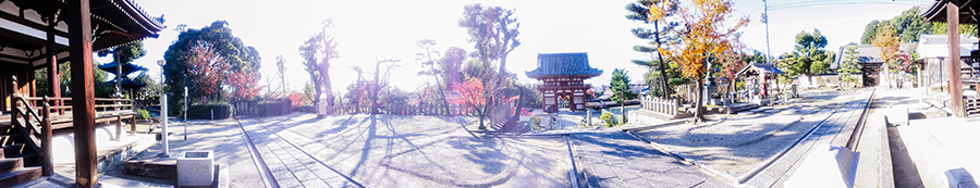 Panoramic view of shrine at Fushimi Inari, Kyoto Japan.