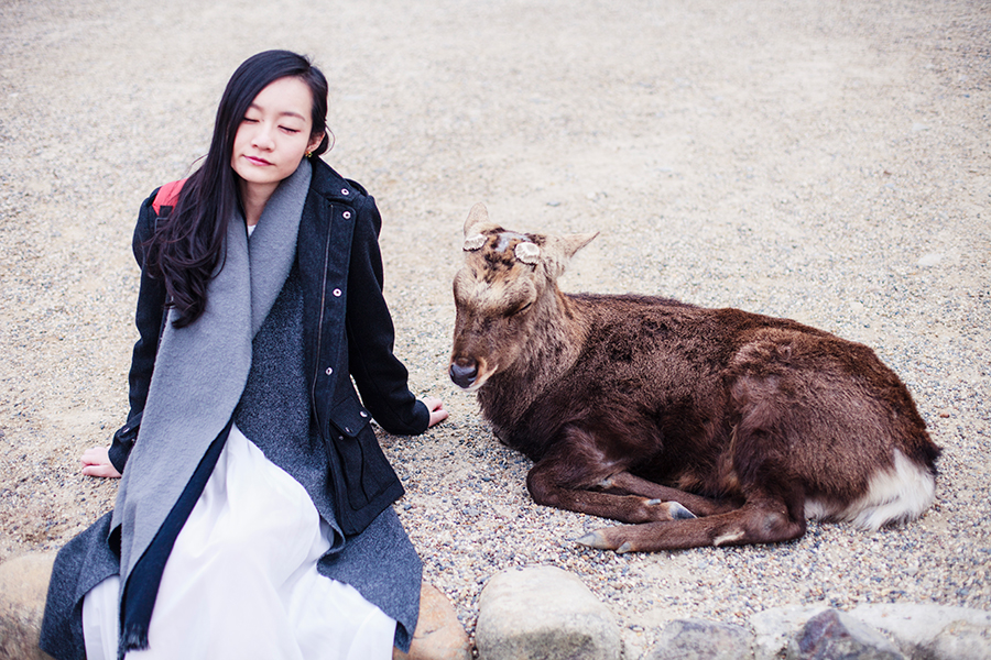 Chilling with deer at Nara Park, Japan.